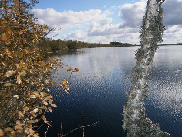 P8310393.thumb.JPG.ecc52c8cdbf75a925f322