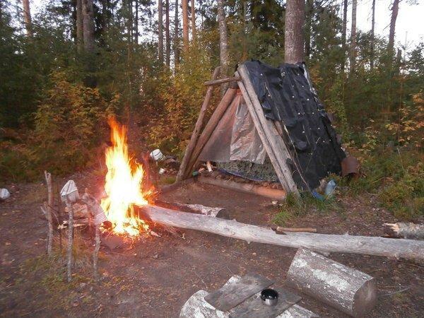 P8310395.thumb.JPG.0bf7a01b39316fca9bf74