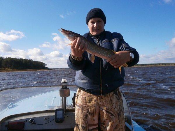 P9070409.thumb.JPG.de7b84fe5467c53f67a39