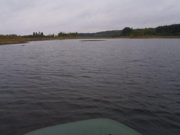 P9090416.thumb.JPG.46a0dce608ae57bdbdbf3