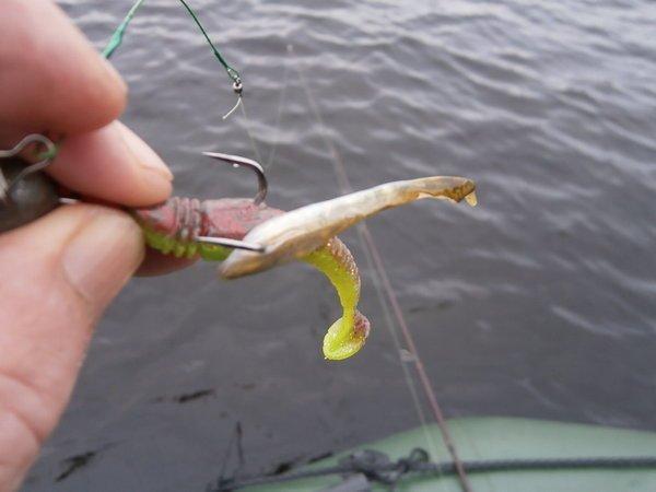 P9090419.thumb.JPG.fe162ea85b9eec38496a9