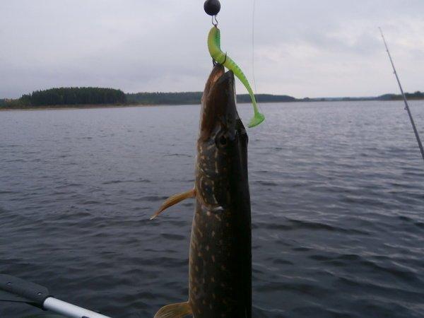 P9090422.thumb.JPG.0d52703e668989b0c3931