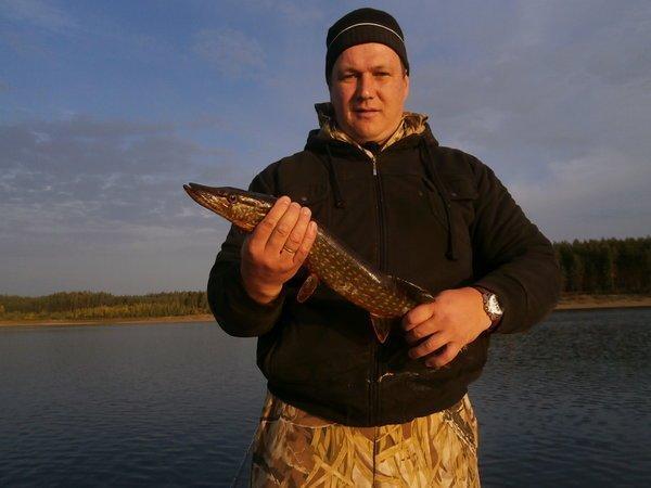 P9140432.thumb.JPG.559043014a6a927a272b2