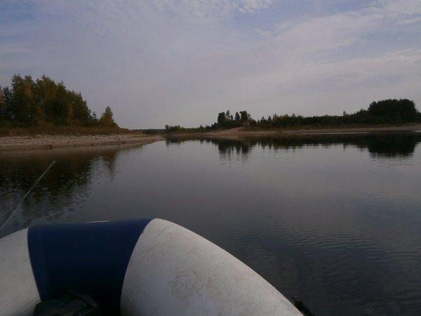 P9140434.thumb.JPG.01b6e08443ed76f254beb