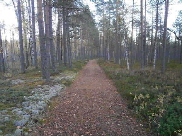 P9160455.thumb.JPG.4285cb42bd78ac89ca567