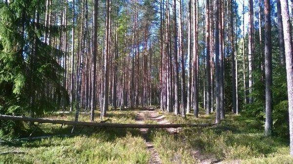 WP_20150912_015.thumb.jpg.57825198a017f4