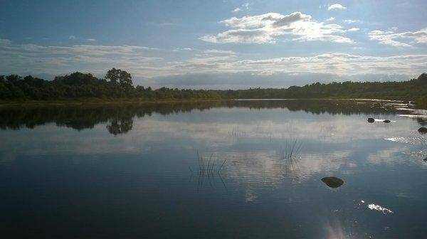 WP_20150912_030.thumb.jpg.6d01a9217def08