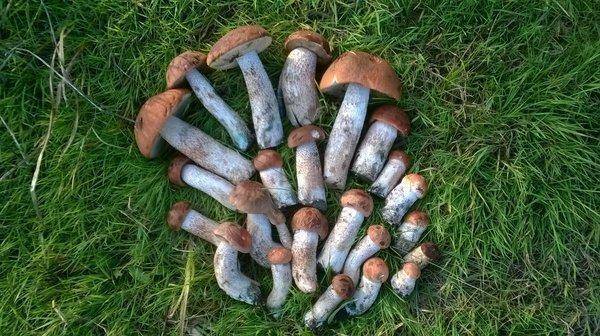 WP_20150912_039.thumb.jpg.ae110e21843869