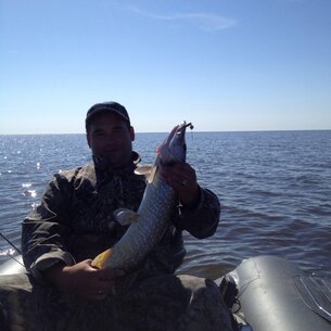 Хищник с хищником