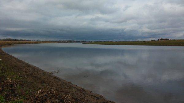 20151025_141048.thumb.jpg.c4bed6643ceddc