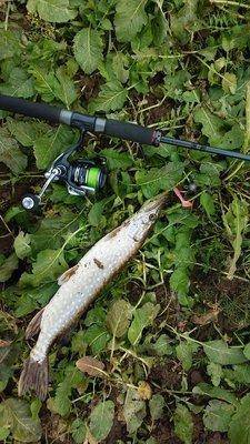 20151025_141546.thumb.jpg.c8b16e123651b2