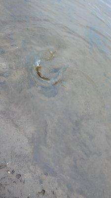 20151025_141858.thumb.jpg.6ee0d026b37d85