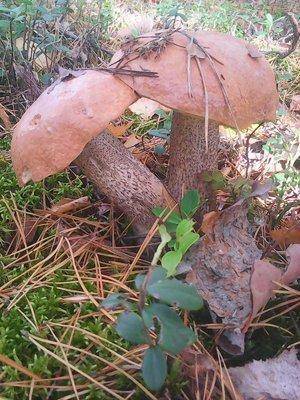 3 октября 003.jpg