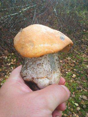 3 октября 008.jpg