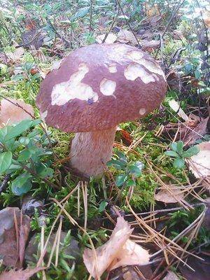 3 октября 009.jpg