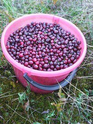 3 октября 022.jpg