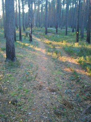 3 октября 026.jpg