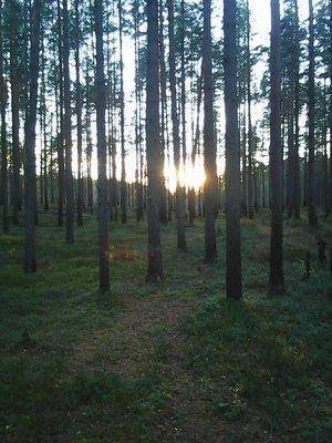 3 октября 028.jpg