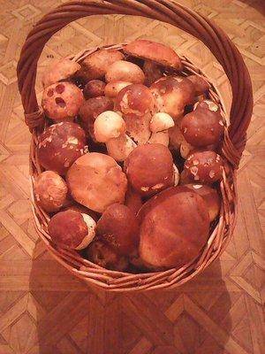 Закрытие грибного сезона 7октября 2015 041.jpg