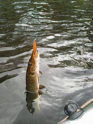 5616c59a6df03_8__004.thumb.jpg.019992adb