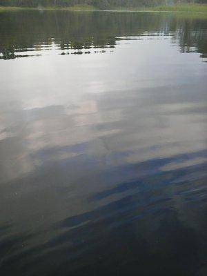 5616c5ae9f984_8__008.thumb.jpg.cb99f9a3e