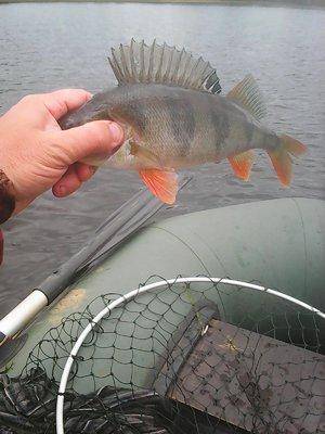 561cdf4f521d0__11_016.thumb.jpg.c7a24385