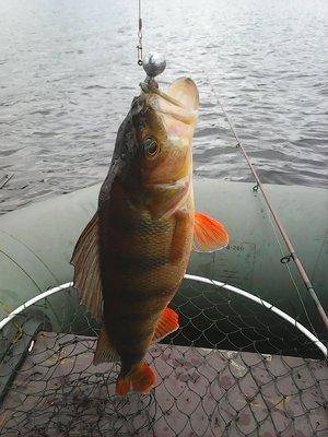 561cdf555ca5d__11_019.thumb.jpg.619cc036