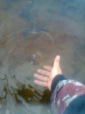 561d09df6e80b_1368.thumb.jpg.edeff8fbe90