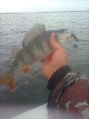 561d09faddf29_1377.thumb.jpg.276e9b1f1a9