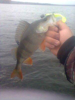 561e757029b0d_1382.thumb.jpg.6e34e20350b