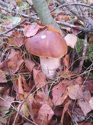 16 октября 002.jpg