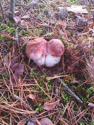 16 октября 004.jpg