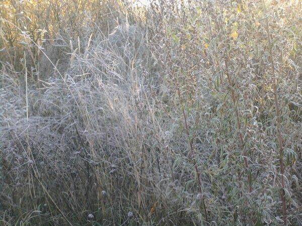 56227b432005b_0850.thumb.jpg.986d2b3bddd