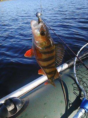 56227b9694548__17__007.thumb.jpg.f19aa9a