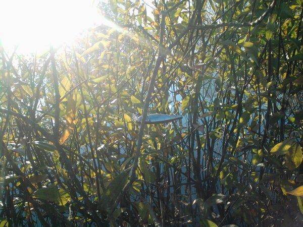 56227ba5b4c4d_0851.thumb.jpg.952476aed3f