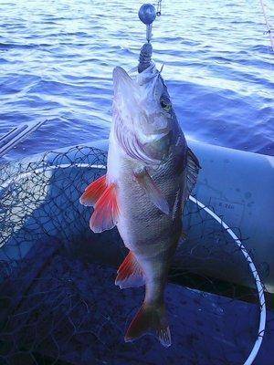 56227ca56504a__17__016.thumb.jpg.aea70a3