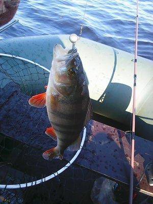 56227d0864bbc__17__022.thumb.jpg.ff87ba3