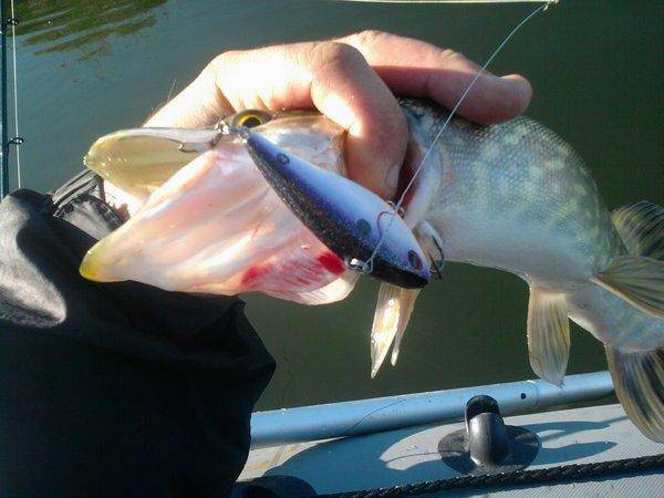 56227d14e46e6_0853.thumb.jpg.e8bd241003b