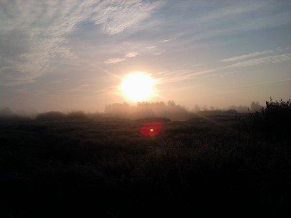 56238b5d64145_0856.thumb.jpg.70259a9a213