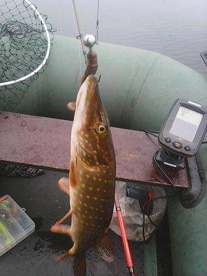 562e9051b3927_26__001.thumb.jpg.8f6c38da