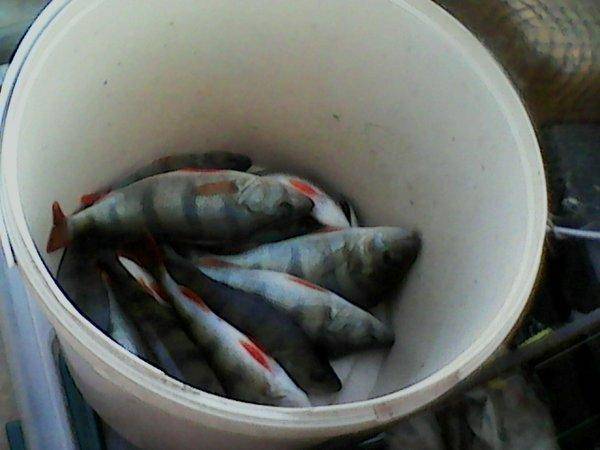 моя старая лодка 307.jpg