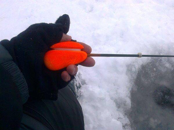 56323754ef62f_2673.thumb.jpg.e0947721a6a