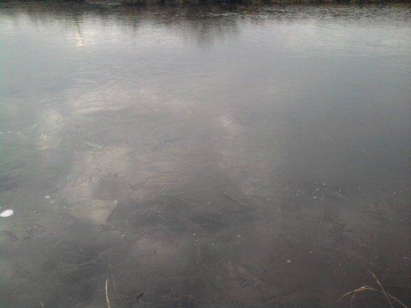 56333b01e45df_0873.thumb.jpg.d2c4d5cef77