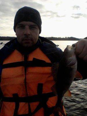 5634d5ffc3491_-0002.thumb.jpg.626c555999