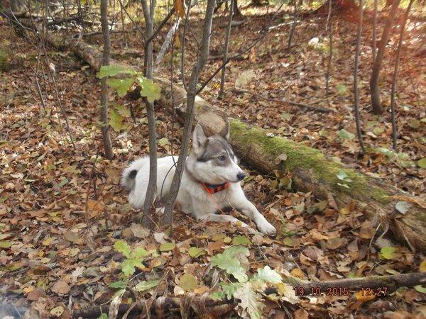 DSCF4149.thumb.JPG.28d09a7f925f41370cae7