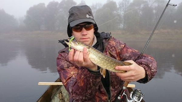 DSC_1665.thumb.JPG.456c8900d8f12d674258e