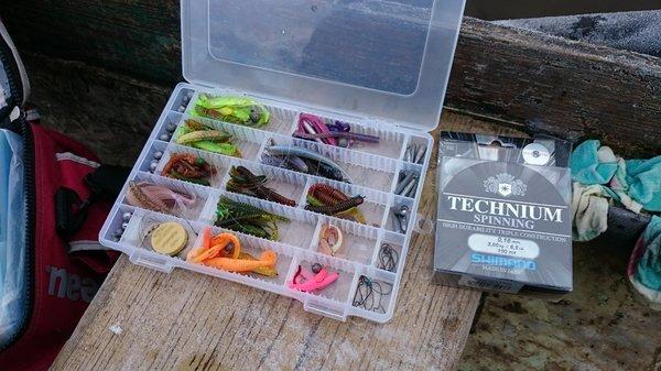 DSC_1988.thumb.JPG.6ae7e6692e59d5d8066fc