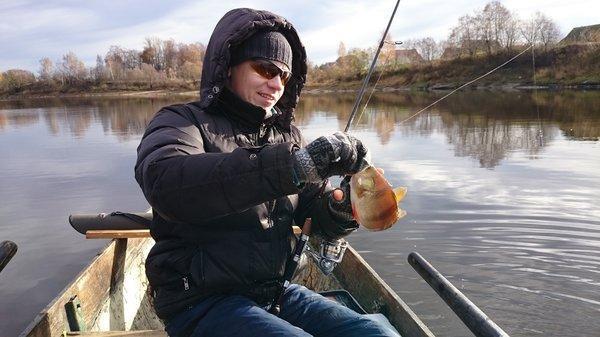 DSC_1996.thumb.JPG.9feaacb8b805a0772582d