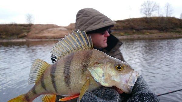 DSC_2019.thumb.JPG.47fb780d4a0b14e1d232e