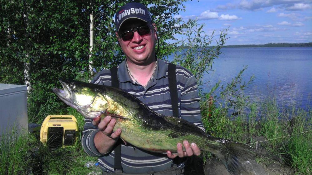 IMAG0016.thumb.jpg.b990d38b2cd69dd417922